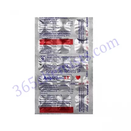 ANGICAM LT 50+5MG TABLET 15