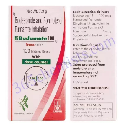 BUDAMATE 100 HFA TRANSHALER 100HFA