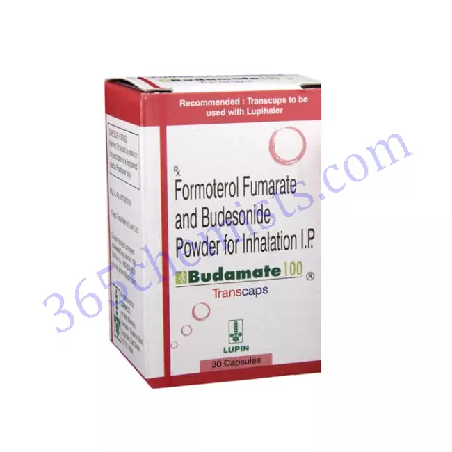 BUDAMATE 100 TRANSCAPS TRANSCAP BUDAMATE 100 TRANSCAPS TRANSCAP
