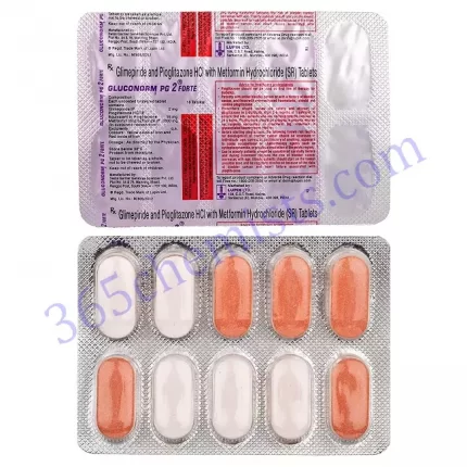 GLUCONORM PG 2 FORTE TAB 10 TAB
