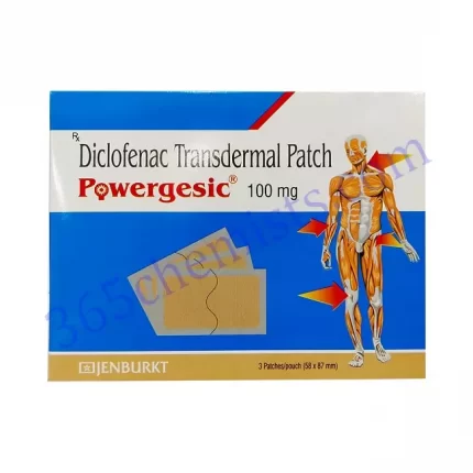 POWERGESIC 100 PATCH 3 PATCH