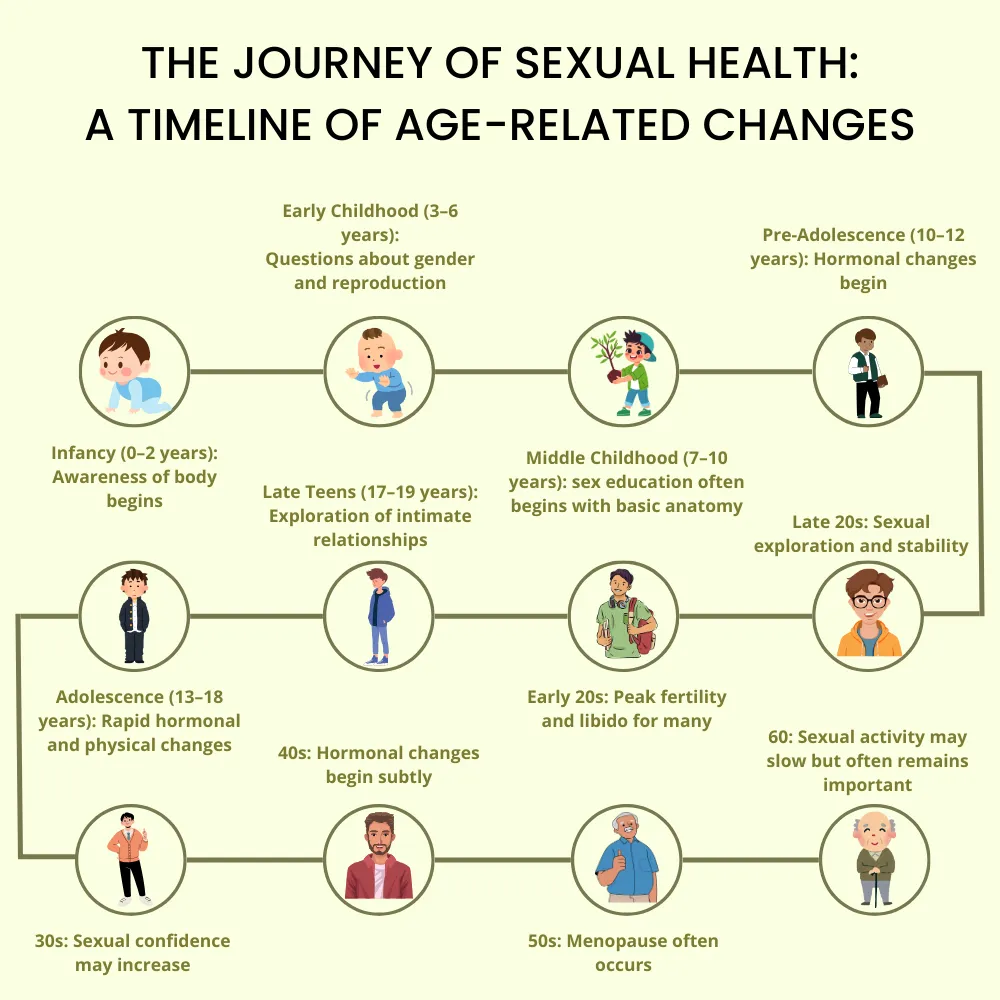 THE JOURNEY OF SEXUAL HEALTH A TIMELINE OF AGE-RELATED CHANGES THE JOURNEY OF SEXUAL HEALTH A TIMELINE OF AGE-RELATED CHANGES